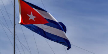 Фото: freepik.com/wirestock