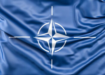 Фото: freepik.com/www.slon.pics