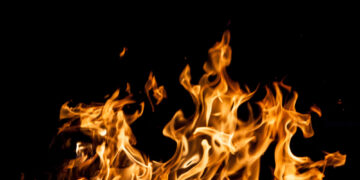 Фото: freepik.com/ArthurHidden