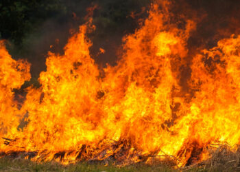 Фото: freepik.com/ilovehz