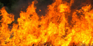 Фото: freepik.com/ilovehz