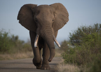 Фото: freepik.com/wirestock