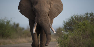 Фото: freepik.com/wirestock