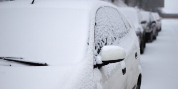 Фото: freepik.com/wirestock