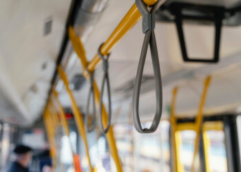 Фото: freepik.com/freepik