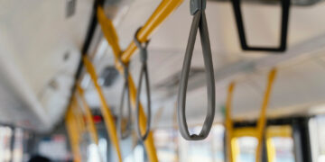 Фото: freepik.com/freepik