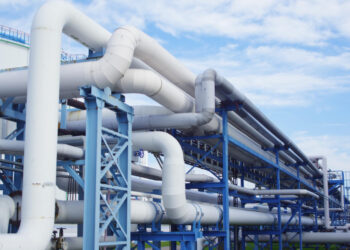 Фото: freepik.com/wirestock