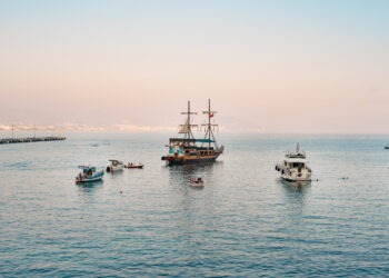 Фото: freepik.com/ArthurHidden