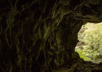 Фото: freepik.com/wirestock