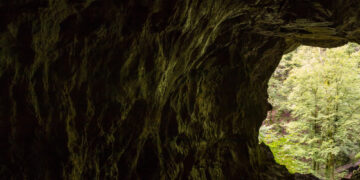 Фото: freepik.com/wirestock